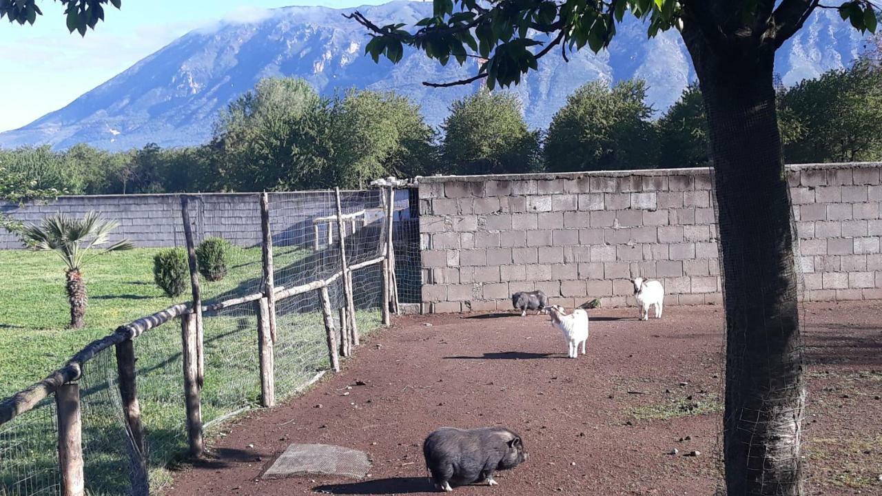 فندق Agriturismo Carlo Cioffi Rotondi المظهر الخارجي الصورة